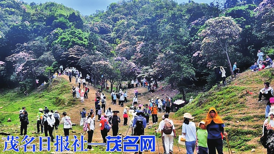 “五一”假期，信宜乡村休闲游热度持续攀升