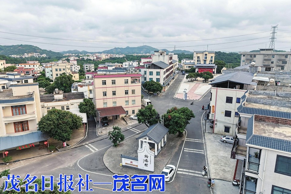 柏桥强村公司：深耕荔乡土，算好共富账