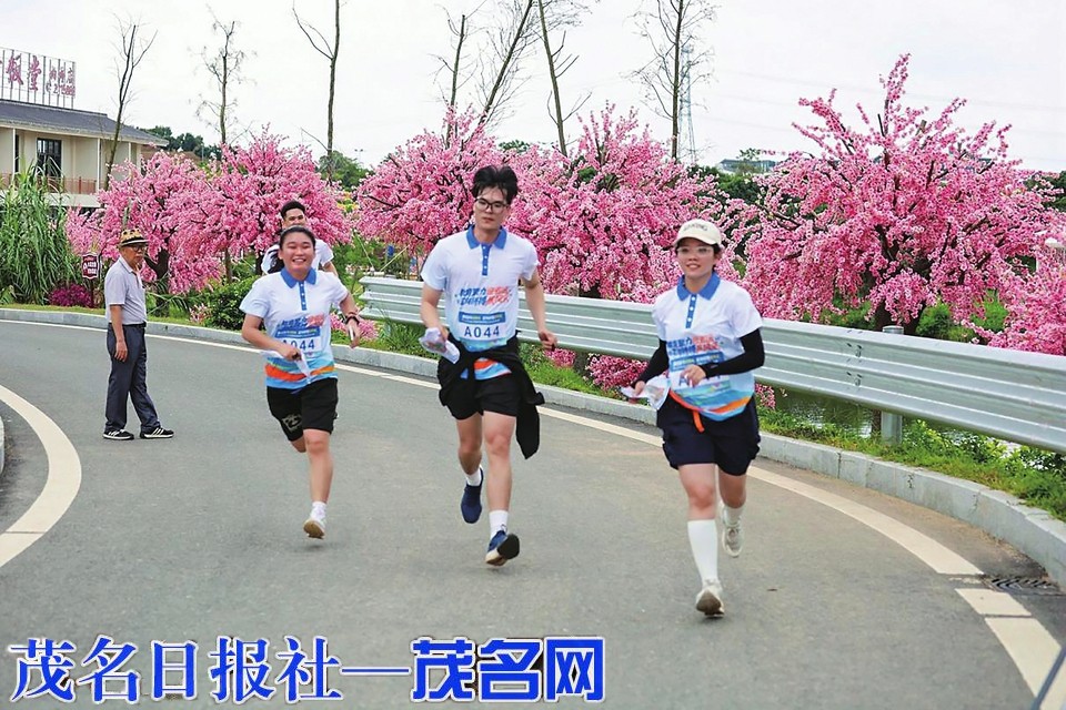 茂名市直属院校教职工定向运动比赛落幕