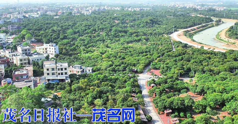 2026年茂名荔枝嘉年华活动将于5月23日举行，报名火热进行中