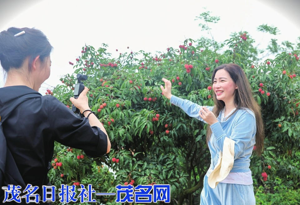 “好果子不愁卖，我们有信心让更多人吃上最好的茂名荔枝”