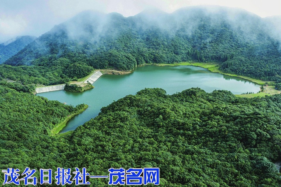 云开山国家级自然保护区：北回归线上的生态奇迹，生物多样性的“诺亚方舟”