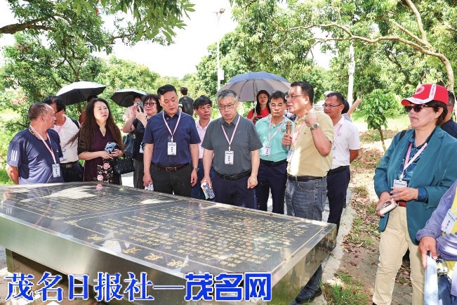 揽山海风貌 以诗文赋能“百千万”