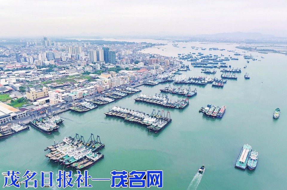 千年渔港联袂千亿县
