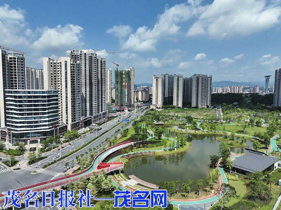 凝聚代表向心力 跑出新区加速度