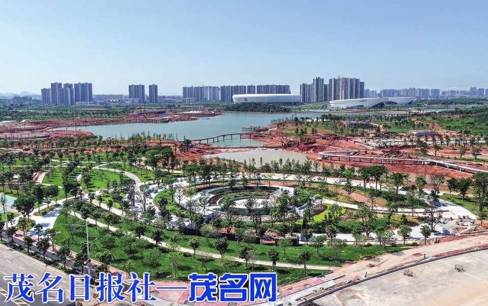 新城向兴 拔节生长
