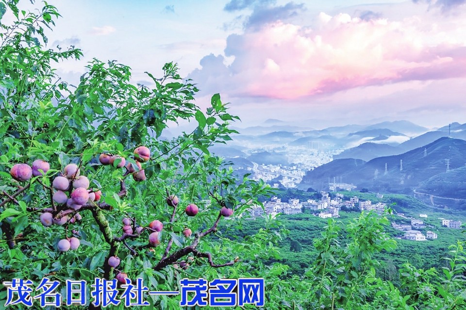 ​信宜钱排：“产城旅”融合发展的蝶变之美