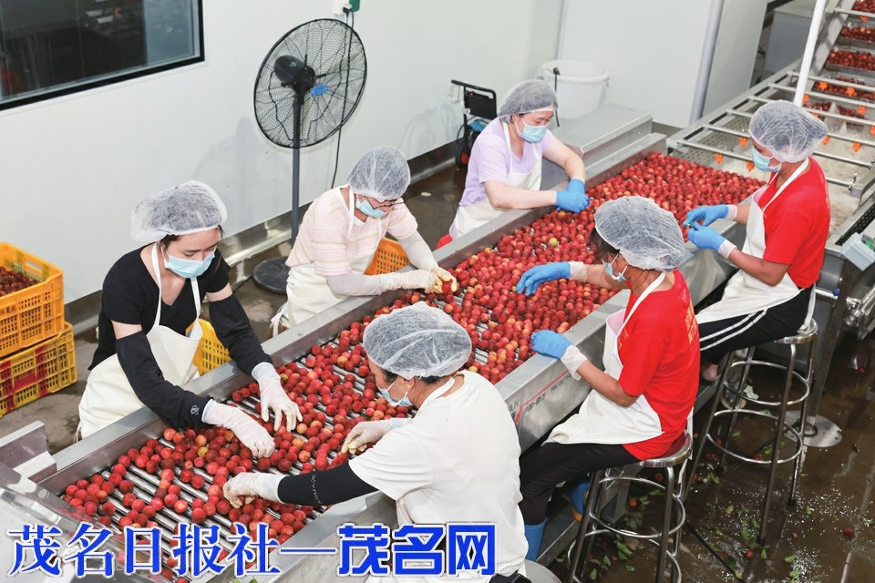 以工业化思维激活茂名果业新动能
