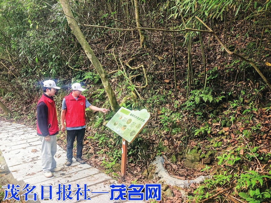 广东云开山国家级自然保护区织密防汛防台风安全网