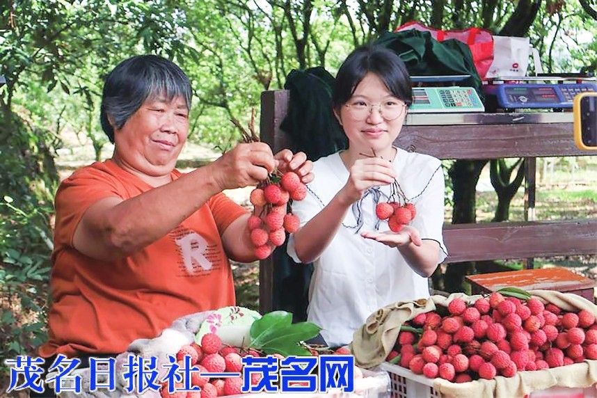 湛科学子扎根荔乡 实干担当助力振兴