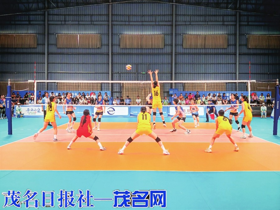 广东省第十七届运动会竞技体育组排球比赛甲组赛事圆满收官