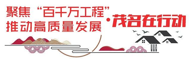 电白区打出“组合拳”护航毕业生走稳就业路