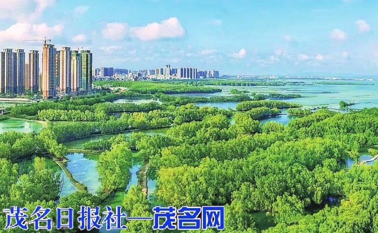​山海茂名交出生态建设亮眼答卷
