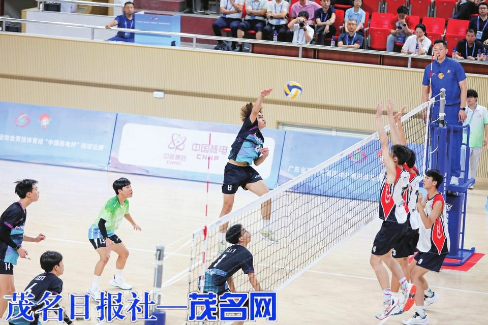 ​江门深圳分获男女组冠军