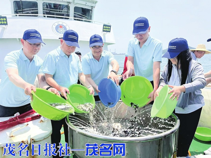 1.02亿尾鱼虾苗“安家”放鸡岛周边海域