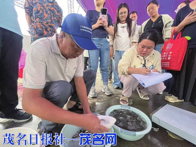 3400万尾鱼苗放流海域 政企共护茂名碧海生态