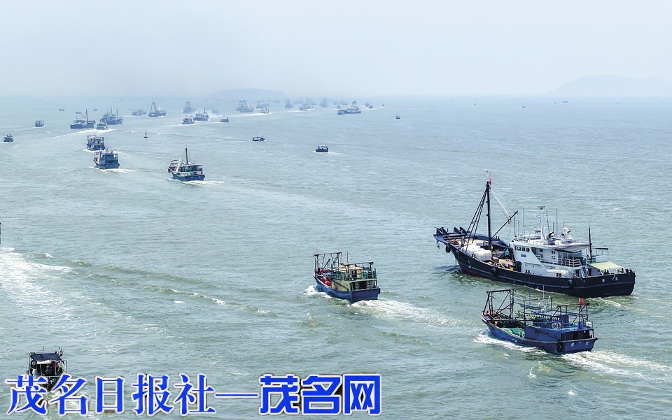 千帆竞发 古港向兴