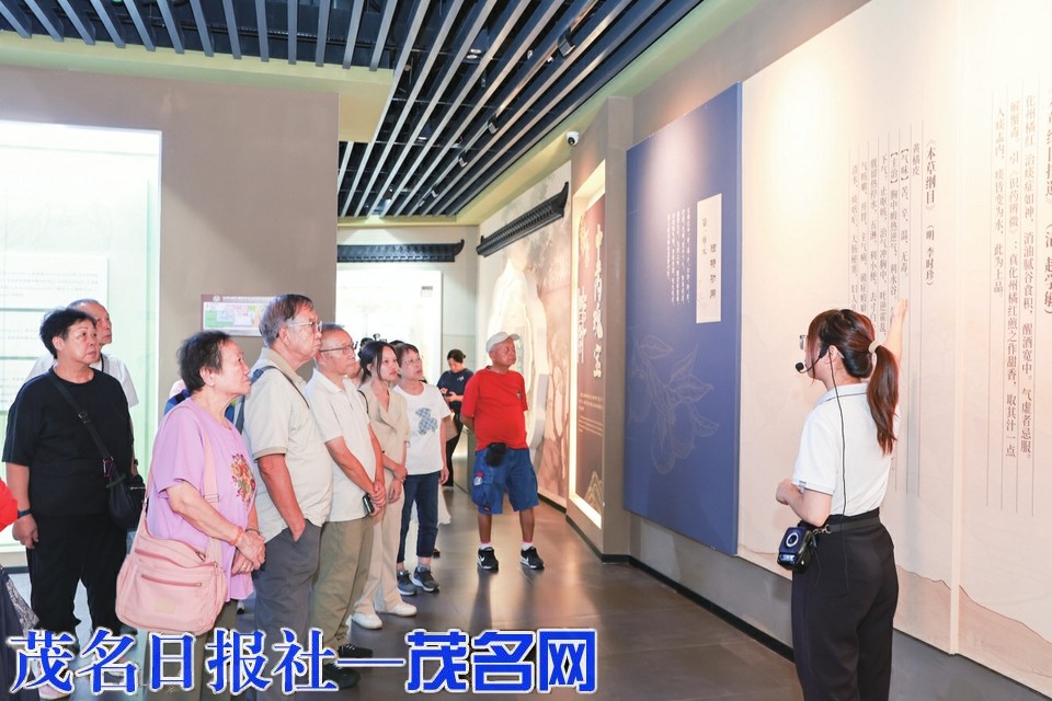 香港乡贤企业家返乡考察化州