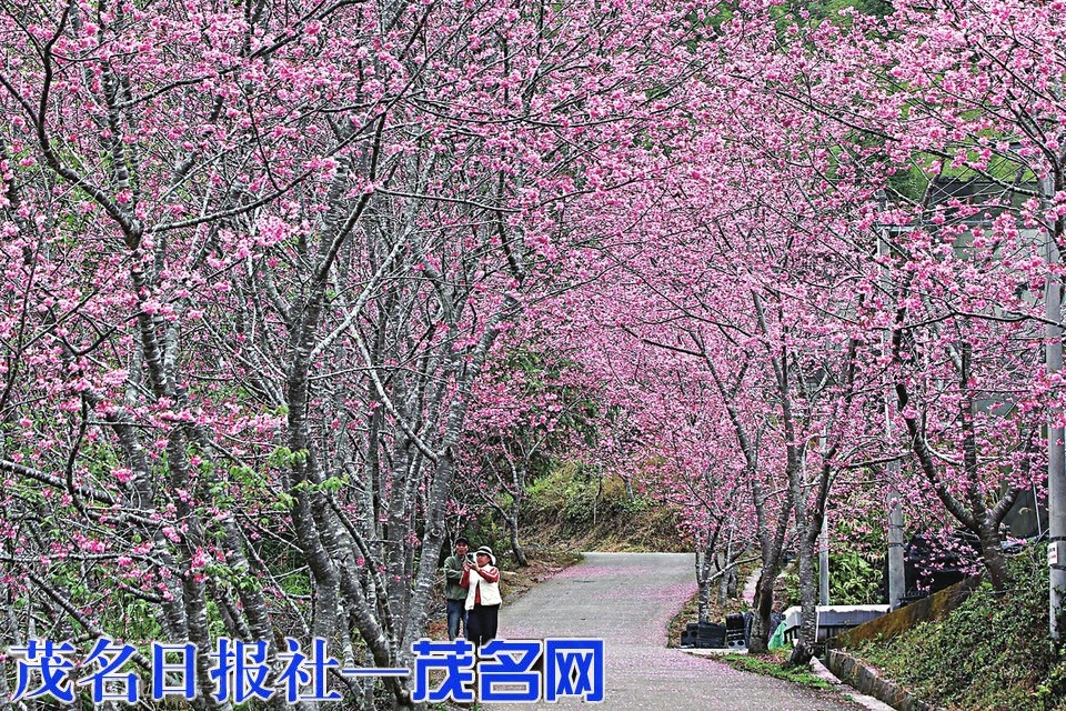 ​依托生态禀赋 激活康养动能