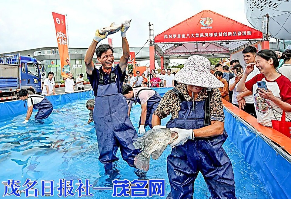 我市2026年中国农民丰收节即将启幕