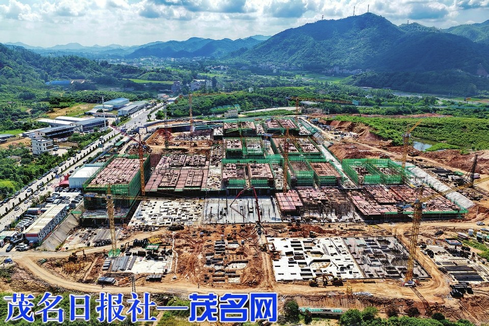 南药香都扬帆启新程 激活产业发展新动能