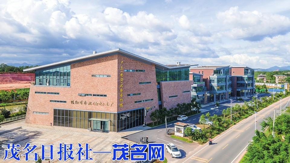 千年香脉传承 产业焕新出发