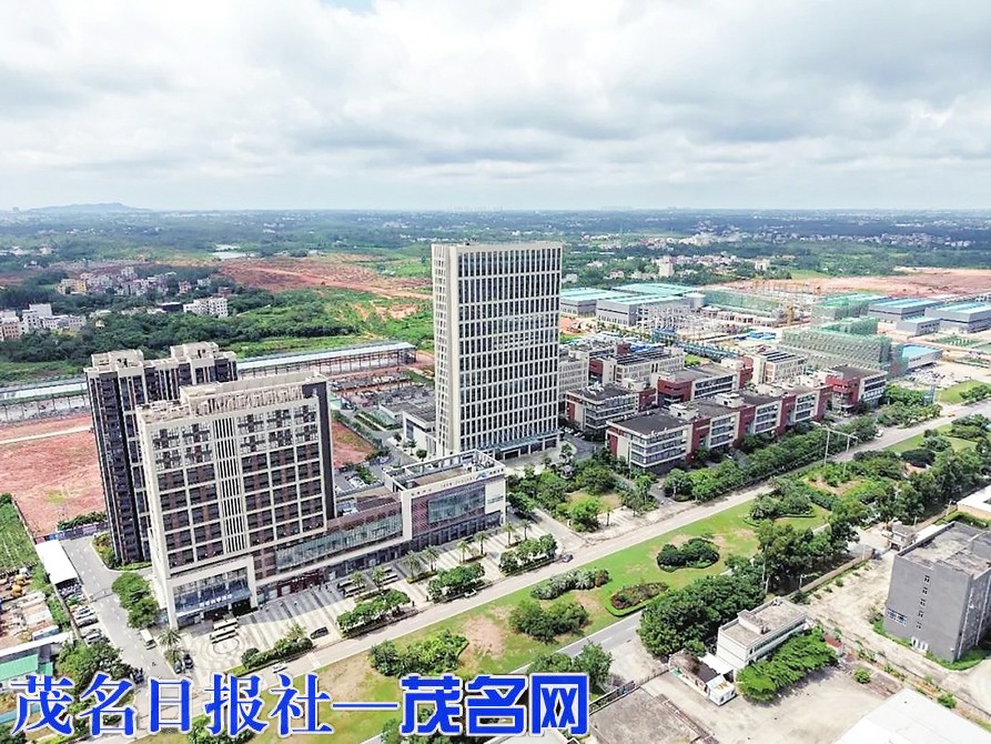 电白区掀起大招商、招大商、招好商攻坚热潮