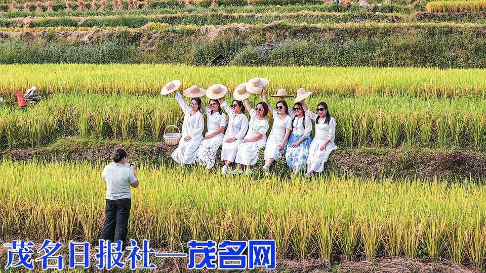 秋风根梯田迎丰收  满山秋色入画来