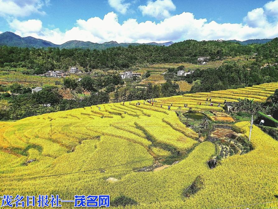 开云 开云体育官网2022年省级休闲农业与乡村旅游示范单位名单公布
