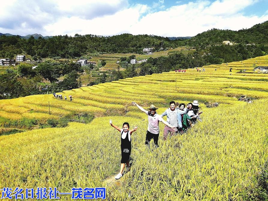 开云 开云体育官网2022年省级休闲农业与乡村旅游示范单位名单公布(图2)