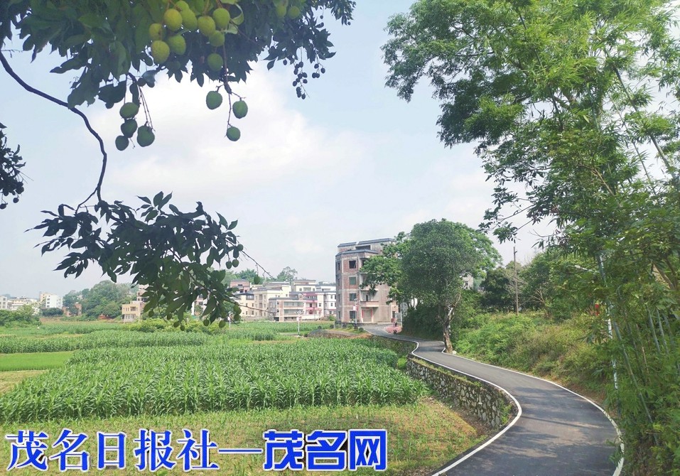 信宜市水口镇永村新铺自开云体育 开云平台然村探索“乡村游+休闲农业”新路径