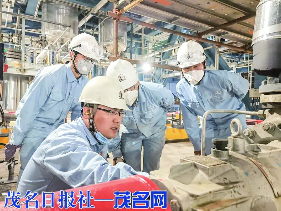 我市扎实推进青年发展型城市建设书写青年与城市双向奔赴奋进篇章(图4)