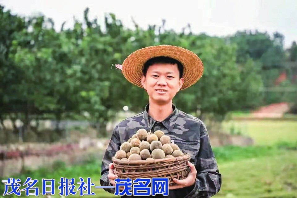 我市扎实推进青年发展型城市建设书写青年与城市双向奔赴奋进篇章(图1)