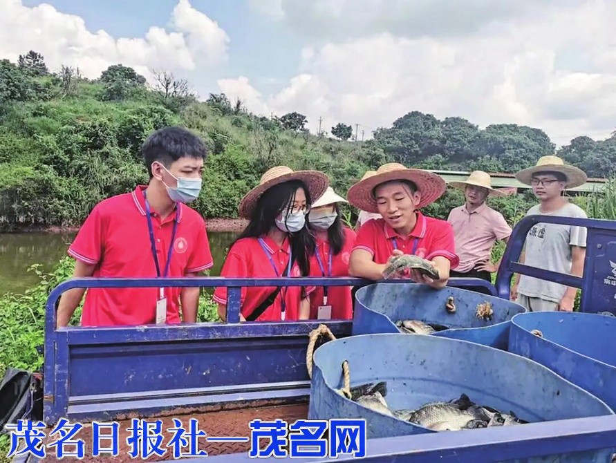 我市扎实推进青年发展型城市建设书写青年与城市双向奔赴奋进篇章(图6)