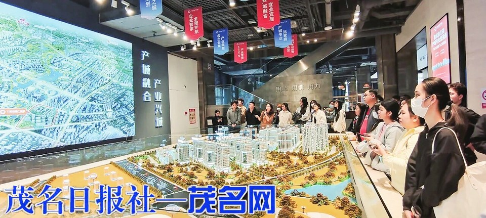 我市扎实推进青年发展型城市建设书写青年与城市双向奔赴奋进篇章(图7)