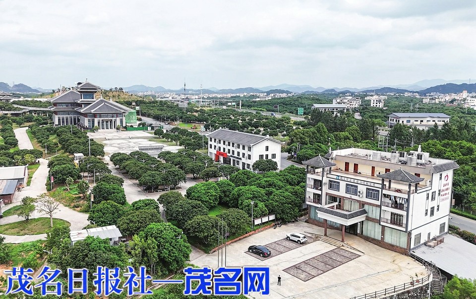 民宿焕新：花果引客农舍生金(图1)