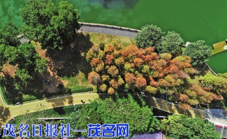 新湖公园段绿道。<br>