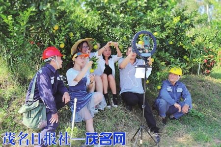 供电人员来到乡村直播间，助力当地村民“直播带货”红心橙。<br>