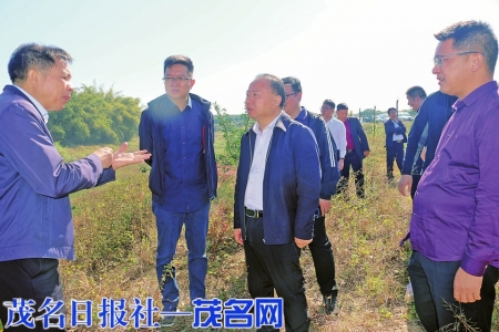 廖述毅一行督促检查“精彩100里”茂南段根子河水质提升工作。 通讯员郑伟业摄<br>