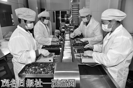 点击放大 化州市化橘红干片生产车间。<br>