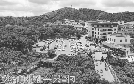 点击放大 根子镇贡园村游客络绎不绝。<br>