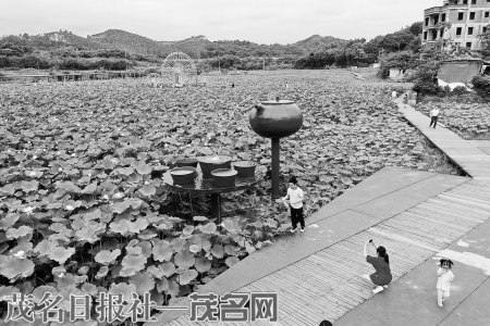 高州南塘镇彭村开发休闲农业和乡村旅游，既有旅游的创收，又有莲藕莲子的收入。<br>