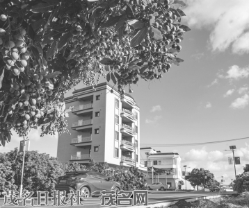 水果年年丰收，家家户户盖新楼。<br>