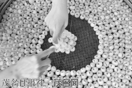 农民在家里加工圆肉，增加农产品附加值。<br>