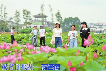 覃塘区荷美覃塘景区。（贵港日报记者张庆杰摄）<br>