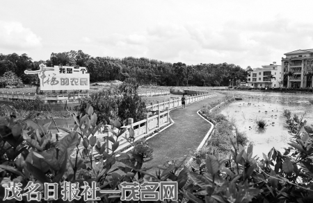 化州石湾街道博带村一河两岸风景。茂名日报社全媒体记者陈国汉摄<br>