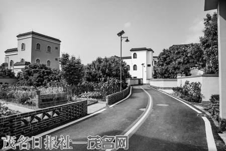 高州分界镇杏花村绿道。茂名日报社全媒体记者丘立贺摄<br>