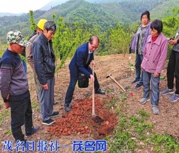 　　2021年3月11日，科技工作人员在上思县叫安镇指导群众种植新品种蜂糖李。<br>