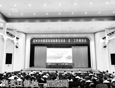 点击放大 高州市创建国家级健康促进县(区)工作推进会现场。<br>