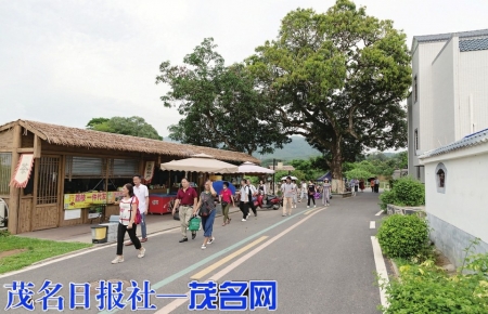 高州根子元坝村吸引不少游客前来游玩。<br>